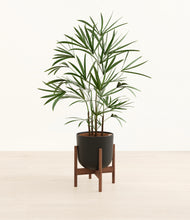 Load image into Gallery viewer, Stone Black stand:walnut