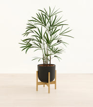 Load image into Gallery viewer, Stone Black stand:bamboo