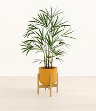 Load image into Gallery viewer, Sunset Orange stand:bamboo