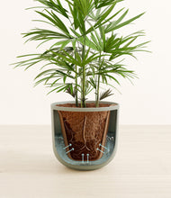 Load image into Gallery viewer, Sage Green stand:all