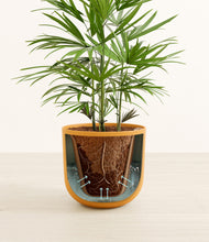 Load image into Gallery viewer, Sunset Orange stand:all