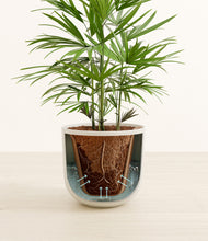 Load image into Gallery viewer, Natural Bamboo stand:all