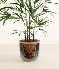 Load image into Gallery viewer, Sage Green stand:all