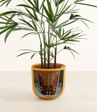 Load image into Gallery viewer, Sunset Orange stand:all