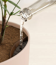 Load image into Gallery viewer, Sandy Pink stand:all