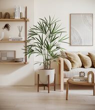 Load image into Gallery viewer, Natural Bamboo stand:walnut