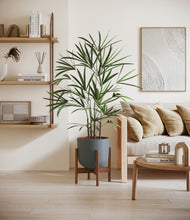 Load image into Gallery viewer, Iron Gray stand:walnut