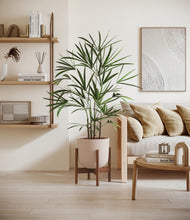 Load image into Gallery viewer, Sandy Pink stand:walnut