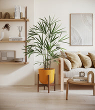 Load image into Gallery viewer, Sunset Orange stand:walnut