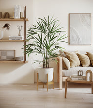 Load image into Gallery viewer, Natural Bamboo stand:bamboo