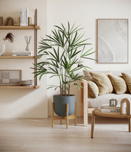 Load image into Gallery viewer, Iron Gray stand:bamboo