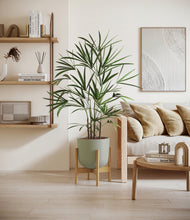 Load image into Gallery viewer, Sage Green stand:bamboo