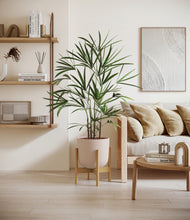 Load image into Gallery viewer, Sandy Pink stand:bamboo