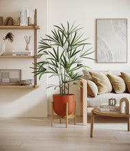 Load image into Gallery viewer, Earth Red stand:bamboo