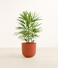 Load image into Gallery viewer, Earth Red