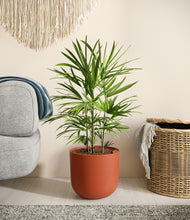 Load image into Gallery viewer, Earth Red