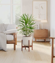 Load image into Gallery viewer, Natural Bamboo stand:walnut