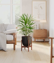 Load image into Gallery viewer, Stone Black stand:walnut