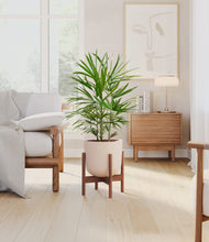 Load image into Gallery viewer, Sandy Pink stand:walnut