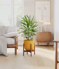 Load image into Gallery viewer, Sunset Orange stand:walnut