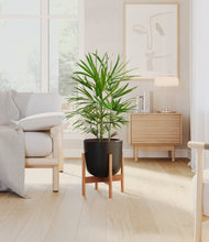 Load image into Gallery viewer, Stone Black stand:bamboo