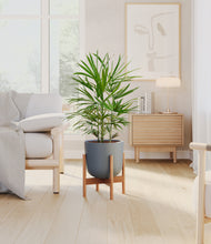 Load image into Gallery viewer, Iron Gray stand:bamboo