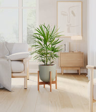 Load image into Gallery viewer, Sage Green stand:bamboo