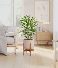 Load image into Gallery viewer, Sandy Pink stand:bamboo