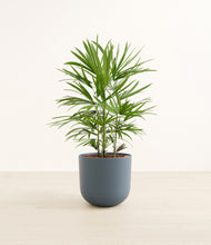 Load image into Gallery viewer, Iron Gray