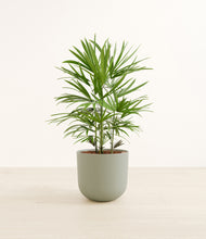 Load image into Gallery viewer, Sage Green