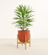 Load image into Gallery viewer, Earth Red stand:bamboo