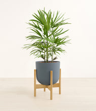 Load image into Gallery viewer, Iron Gray stand:bamboo
