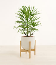 Load image into Gallery viewer, Natural Bamboo stand:bamboo