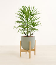 Load image into Gallery viewer, Sage Green stand:bamboo