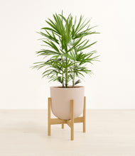 Load image into Gallery viewer, Sandy Pink stand:bamboo