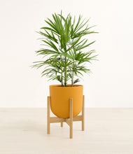 Load image into Gallery viewer, Sunset Orange stand:bamboo