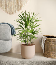 Load image into Gallery viewer, Sandy Pink