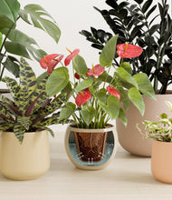 Load image into Gallery viewer, Leafy Lineage