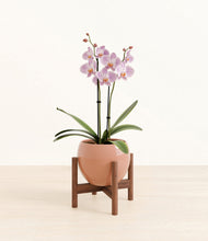 Load image into Gallery viewer, -