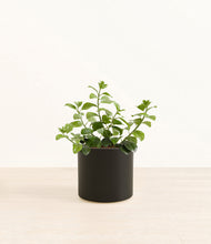 Load image into Gallery viewer, Black*****Profile