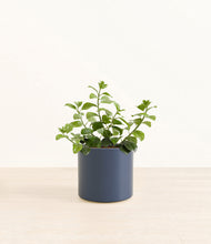 Load image into Gallery viewer, Deep Navy*****Profile