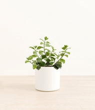 Load image into Gallery viewer, White*****Profile