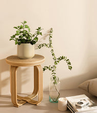 Load image into Gallery viewer, Almond Green