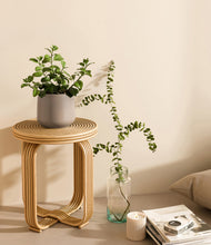 Load image into Gallery viewer, Eternal Gray