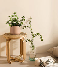 Load image into Gallery viewer, Gentle Pink