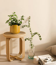 Load image into Gallery viewer, Mustard