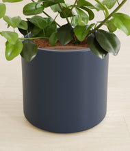 Load image into Gallery viewer, Deep Navy stand:all