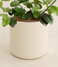 Load image into Gallery viewer, Cream stand:all