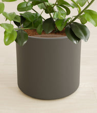 Load image into Gallery viewer, Dark Olive stand:all