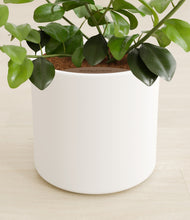 Load image into Gallery viewer, White stand:all